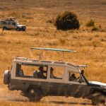 3 Days Tanzania Wildlife Tour Serengeti and Ngorongoro Crater